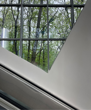 Protective Glazing